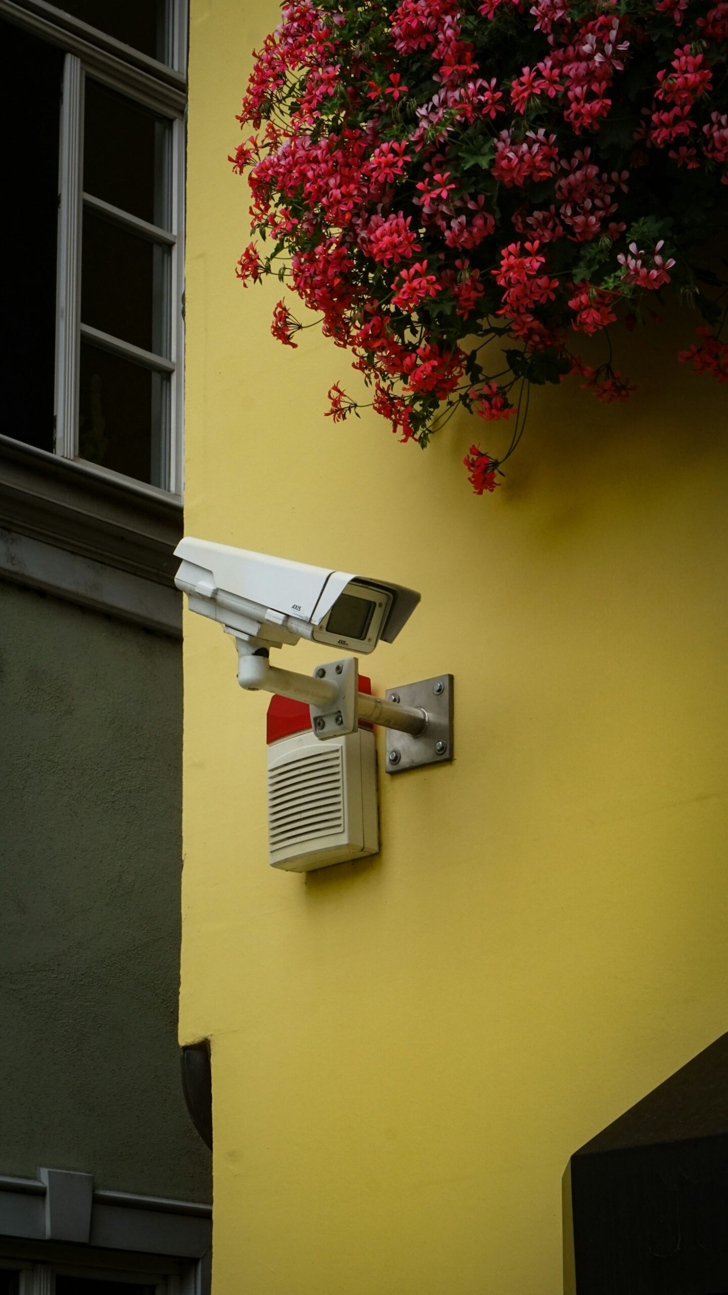 Protecting What Matters Most: Security Tips